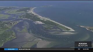 Shark sighting shuts down Westport beach