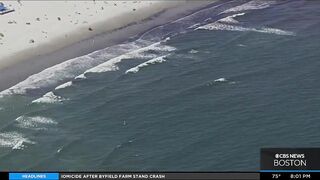 Shark sighting shuts down Westport beach