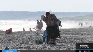 Shark sighting shuts down Westport beach