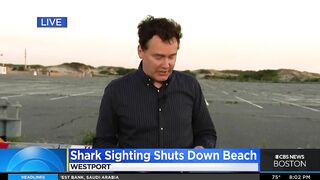 Shark sighting shuts down Westport beach