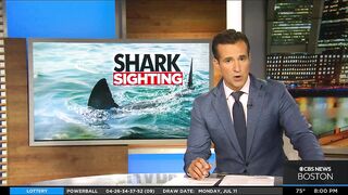 Shark sighting shuts down Westport beach