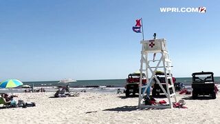 VIDEO NOW: No swimming at Westport beach due to possible fin sighting