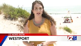 Horseneck Beach reopens after shark sighting