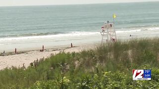 Horseneck Beach reopens after shark sighting