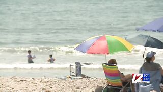 Horseneck Beach reopens after shark sighting