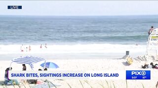 Another shark encounter closes Long Island beach; bite victim returns to work