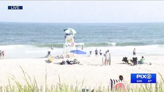 Another shark encounter closes Long Island beach; bite victim returns to work