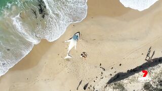 Dead white whale washed up on Victorian beach not the famous Migaloo | 7NEWS