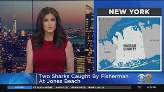 2 sharks caught by fishermen at Jones Beach