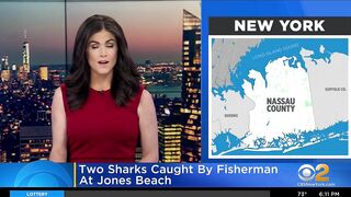 2 sharks caught by fishermen at Jones Beach