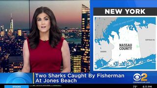 2 sharks caught by fishermen at Jones Beach