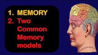 memory models/Models of memory