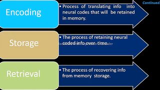 memory models/Models of memory