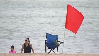 Sharks spotted off Rockaway Beach and Lido Beach hours apart, beaches closed temporarily