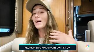 Florida Emu Finds Fame On TikTok