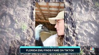 Florida Emu Finds Fame On TikTok