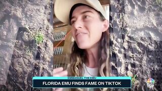 Florida Emu Finds Fame On TikTok