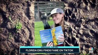 Florida Emu Finds Fame On TikTok