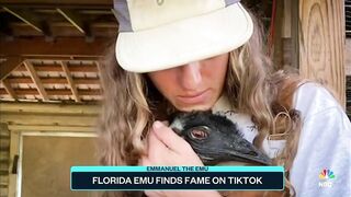 Florida Emu Finds Fame On TikTok