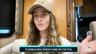 Florida Emu Finds Fame On TikTok