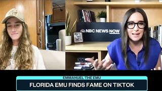 Florida Emu Finds Fame On TikTok