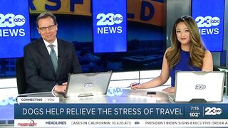 Your Health Matters: Dogs help relieve the stress of travel