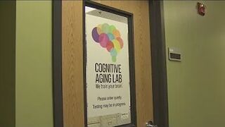 USF PACT study looks to prevent dementia with brain games