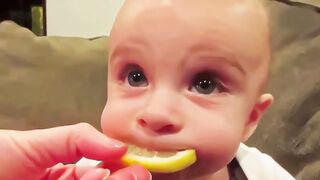 Funny Baby Loves Food - Babies Eating Compilation #6