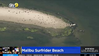 Look At This: Malibu Surfrider Beach