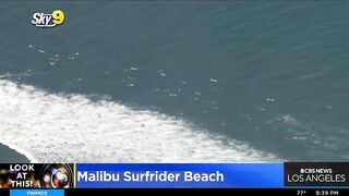 Look At This: Malibu Surfrider Beach