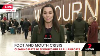 New pressure to shut down travel to Bali after foot and mouth scare | 7NEWS