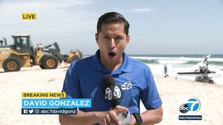 Horrified beachgoers watch as plane crashes into the ocean at Huntington Beach | ABC7