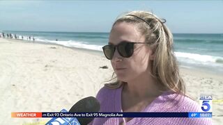 Plane crashes into ocean off Huntington Beach