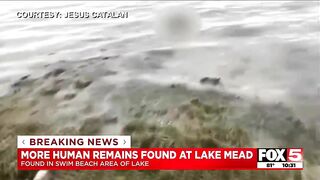 Human remains found at Lake Mead near Swim Beach