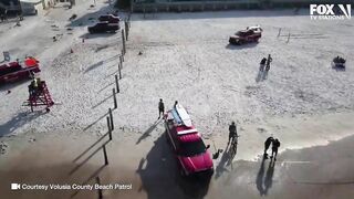 WILD Daytona Beach crash | See moment vehicle drives across beach and crashes into ocean