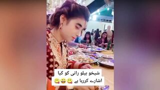 Funny Tik Tok Funny Videos on Pakistani Politics | Funny Meme | Viral Videos | Part 5