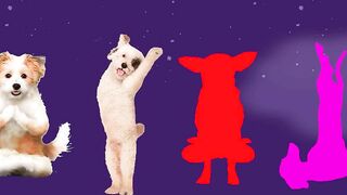 My Name is Yoga Cute Dogs - Parody L Billions