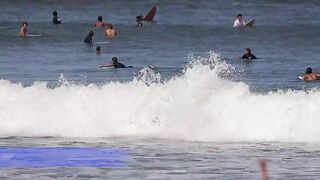 I will surf your waves || CANGGU BEACH || BALI SURF