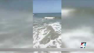 Man possibly bitten by a shark at Jacksonville Beach