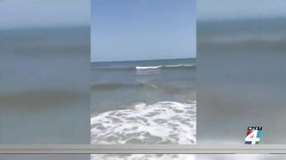 Man possibly bitten by a shark at Jacksonville Beach