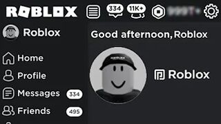 I Hacked The Official Roblox Account