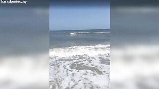 Sharks spotted in knee-deep water at Florida beach