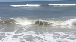 Sharks spotted in knee-deep water at Florida beach