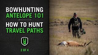 BOWHUNTING ANTELOPE 101 - HOW TO HUNT TRAVEL PATHS