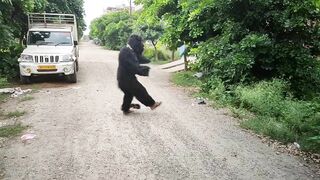 Fake Gorilla Playing With Dog | Funny Gorilla Dog Compilation Video | Funny Dog Clips