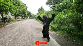 Fake Gorilla Playing With Dog | Funny Gorilla Dog Compilation Video | Funny Dog Clips