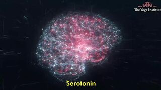 How to be Always Happy: How to Increase Serotonin Levels in Brain? | Healthy Brain Tips