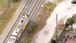 Chopper 5 above fatal Brightline crash in Lake Worth Beach