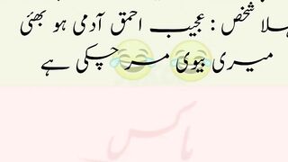 aaj ka lateefa / سردار اور مستری / funny jokes/ urdu lateefy / lateefy hi lateefy/ Jokes Box