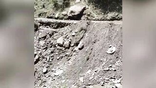 Buildings and cars are swept away with a huge stream of flood in Himachal Pradesh, India